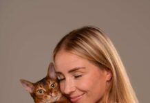 Colombia conmemoró el Día del Gato con un llamado urgente a la responsabilidad y prevención